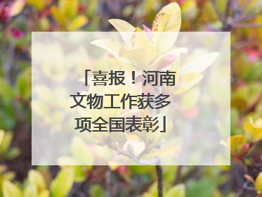 喜报！河南文物工作获多项全国表彰