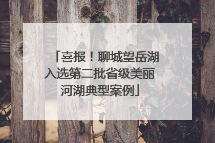 喜报！聊城望岳湖入选第二批省级美丽河湖典型案例