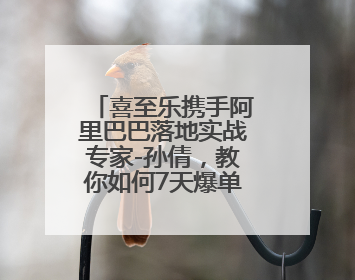 喜至乐携手阿里巴巴落地实战专家-孙倩，教你如何7天爆单逆袭跨境电商