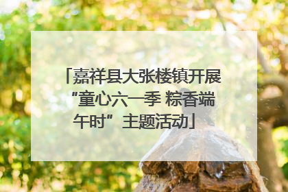嘉祥县大张楼镇开展“童心六一季 粽香端午时”主题活动