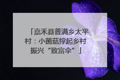 嘉禾县普满乡太平村：小菌菇撑起乡村振兴“致富伞”
