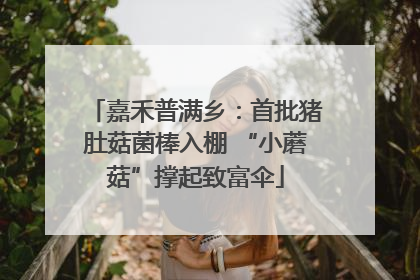 嘉禾普满乡：首批猪肚菇菌棒入棚 “小蘑菇”撑起致富伞