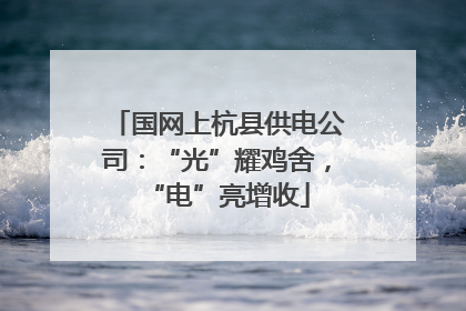 国网上杭县供电公司：“光”耀鸡舍，“电”亮增收