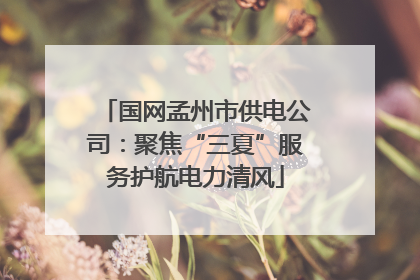 国网孟州市供电公司：聚焦“三夏”服务护航电力清风