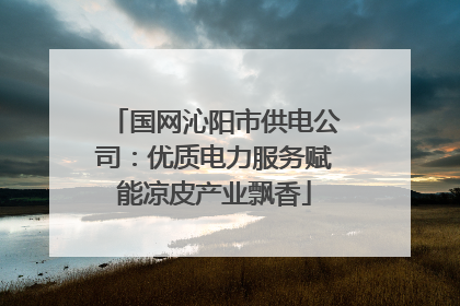 国网沁阳市供电公司：优质电力服务赋能凉皮产业飘香