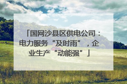 国网沙县区供电公司：电力服务“及时雨”，企业生产“动能强”
