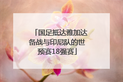 国足抵达雅加达备战与印尼队的世预赛18强赛
