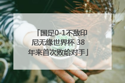国足0-1不敌印尼无缘世界杯 38年来首次败给对手