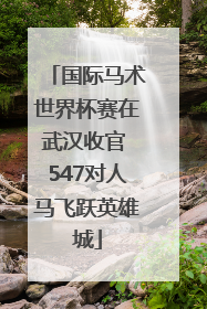 国际马术世界杯赛在武汉收官 547对人马飞跃英雄城