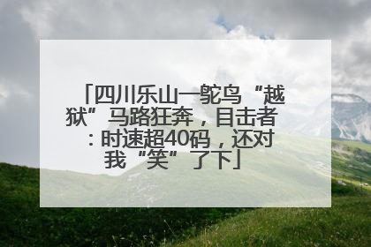 四川乐山一鸵鸟“越狱”马路狂奔，目击者：时速超40码，还对我“笑”了下