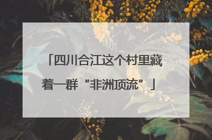 四川合江这个村里藏着一群“非洲顶流”