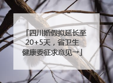 四川婚假拟延长至20+5天，省卫生健康委征求意见→