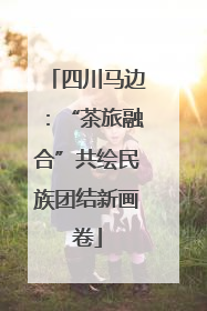 四川马边：“茶旅融合”共绘民族团结新画卷