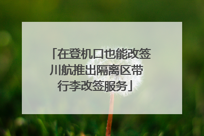 在登机口也能改签 川航推出隔离区带行李改签服务