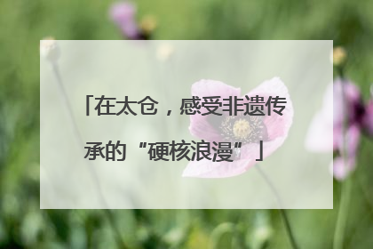 在太仓，感受非遗传承的“硬核浪漫”