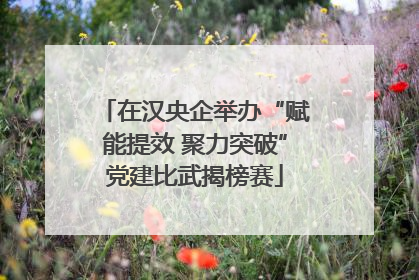 在汉央企举办“赋能提效 聚力突破”党建比武揭榜赛