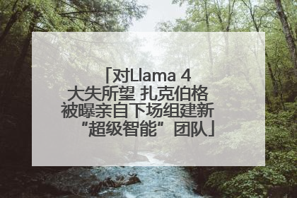 对Llama 4大失所望 扎克伯格被曝亲自下场组建新“超级智能”团队