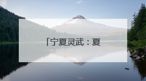 宁夏灵武：夏日音乐节奏响文旅消费热浪