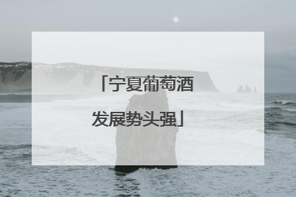 宁夏葡萄酒发展势头强