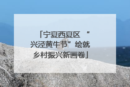 宁夏西夏区 “兴泾黄牛节”绘就乡村振兴新画卷