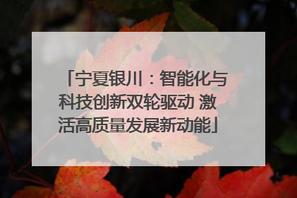 宁夏银川：智能化与科技创新双轮驱动 激活高质量发展新动能