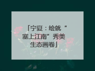 宁夏：绘就“塞上江南”秀美生态画卷