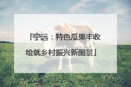 宁远：特色瓜果丰收绘就乡村振兴新图景