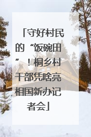 守好村民的“饭碗田”！桐乡村干部凭啥亮相国新办记者会
