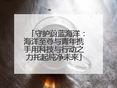 守护蔚蓝海洋：海洋至尊与青年携手用科技与行动之力托起纯净未来