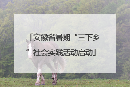 安徽省暑期“三下乡”社会实践活动启动