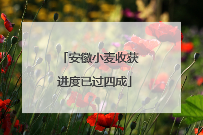 安徽小麦收获进度已过四成