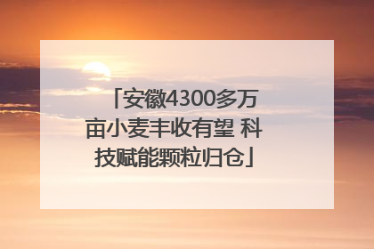 安徽4300多万亩小麦丰收有望 科技赋能颗粒归仓