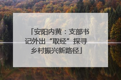 安阳内黄：支部书记外出“取经”探寻乡村振兴新路径
