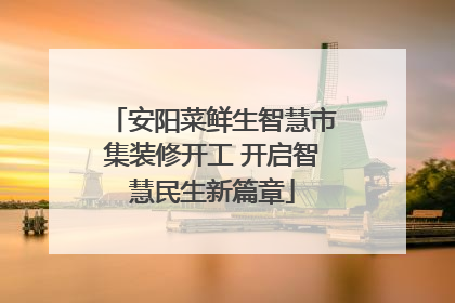 安阳菜鲜生智慧市集装修开工 开启智慧民生新篇章