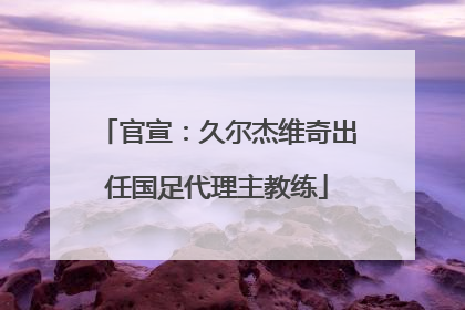 官宣：久尔杰维奇出任国足代理主教练