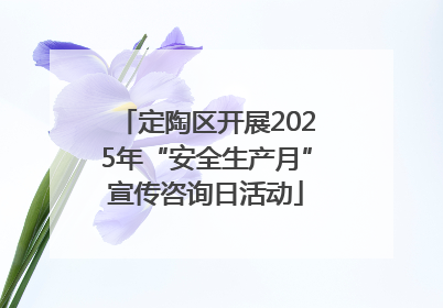 定陶区开展2025年“安全生产月”宣传咨询日活动