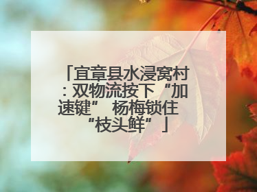 宜章县水浸窝村：双物流按下“加速键” 杨梅锁住“枝头鲜”
