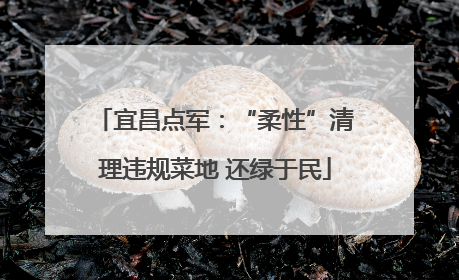 宜昌点军：“柔性”清理违规菜地 还绿于民