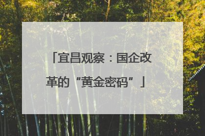宜昌观察：国企改革的“黄金密码”