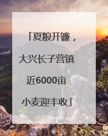 夏粮开镰，大兴长子营镇近6000亩小麦迎丰收