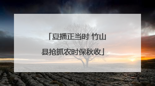 夏播正当时 竹山县抢抓农时保秋收