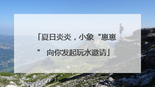 夏日炎炎，小象“崽崽” 向你发起玩水邀请