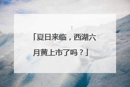 夏日来临，西湖六月黄上市了吗？
