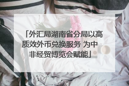 外汇局湖南省分局以高质效外币兑换服务 为中非经贸博览会赋能