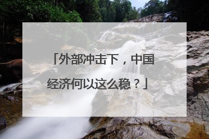 外部冲击下，中国经济何以这么稳？