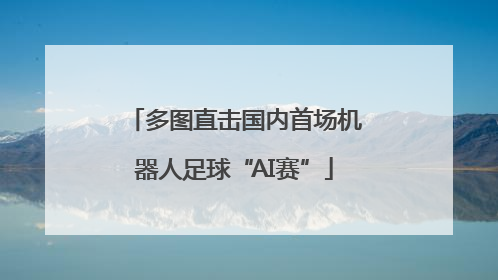 多图直击国内首场机器人足球“AI赛”