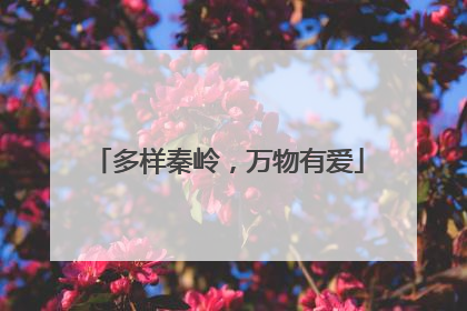 多样秦岭，万物有爱