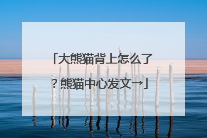大熊猫背上怎么了？熊猫中心发文→