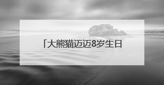 大熊猫迈迈8岁生日会圆满落幕 端午传统与国宝生日完美融合