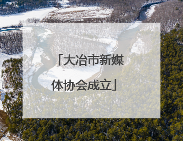 大冶市新媒体协会成立